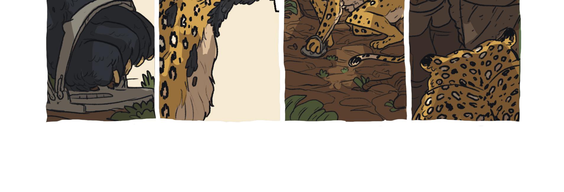Image 3 Cut